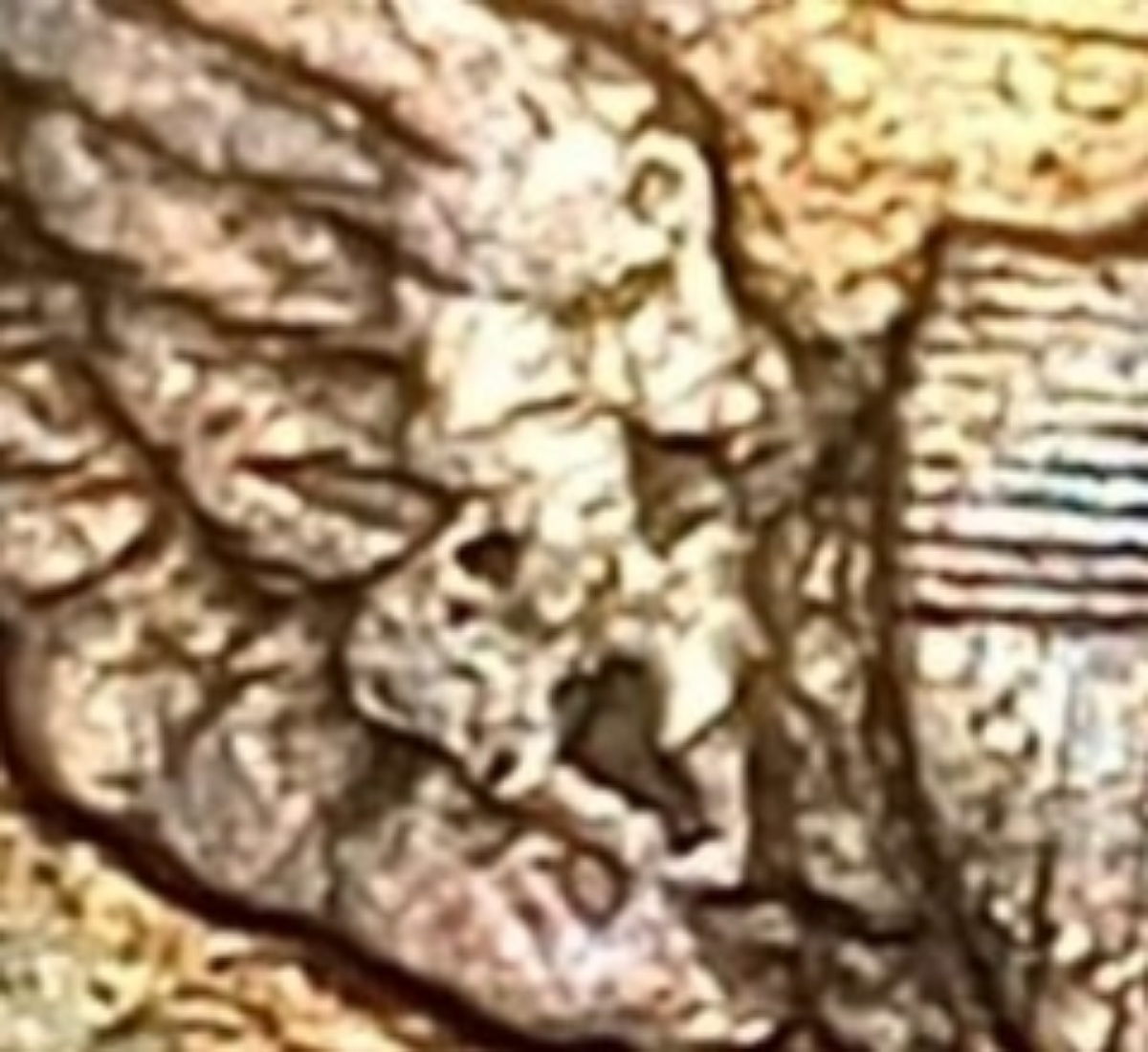 1893-S-Barber-Quarter-For-Grading